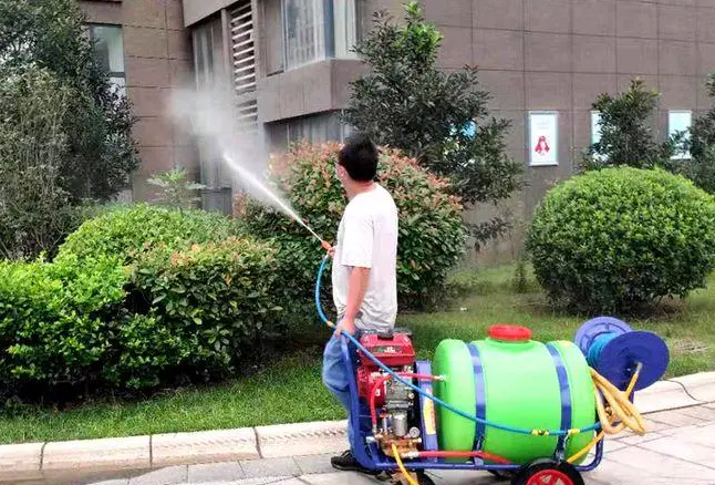 小区虫害消杀
